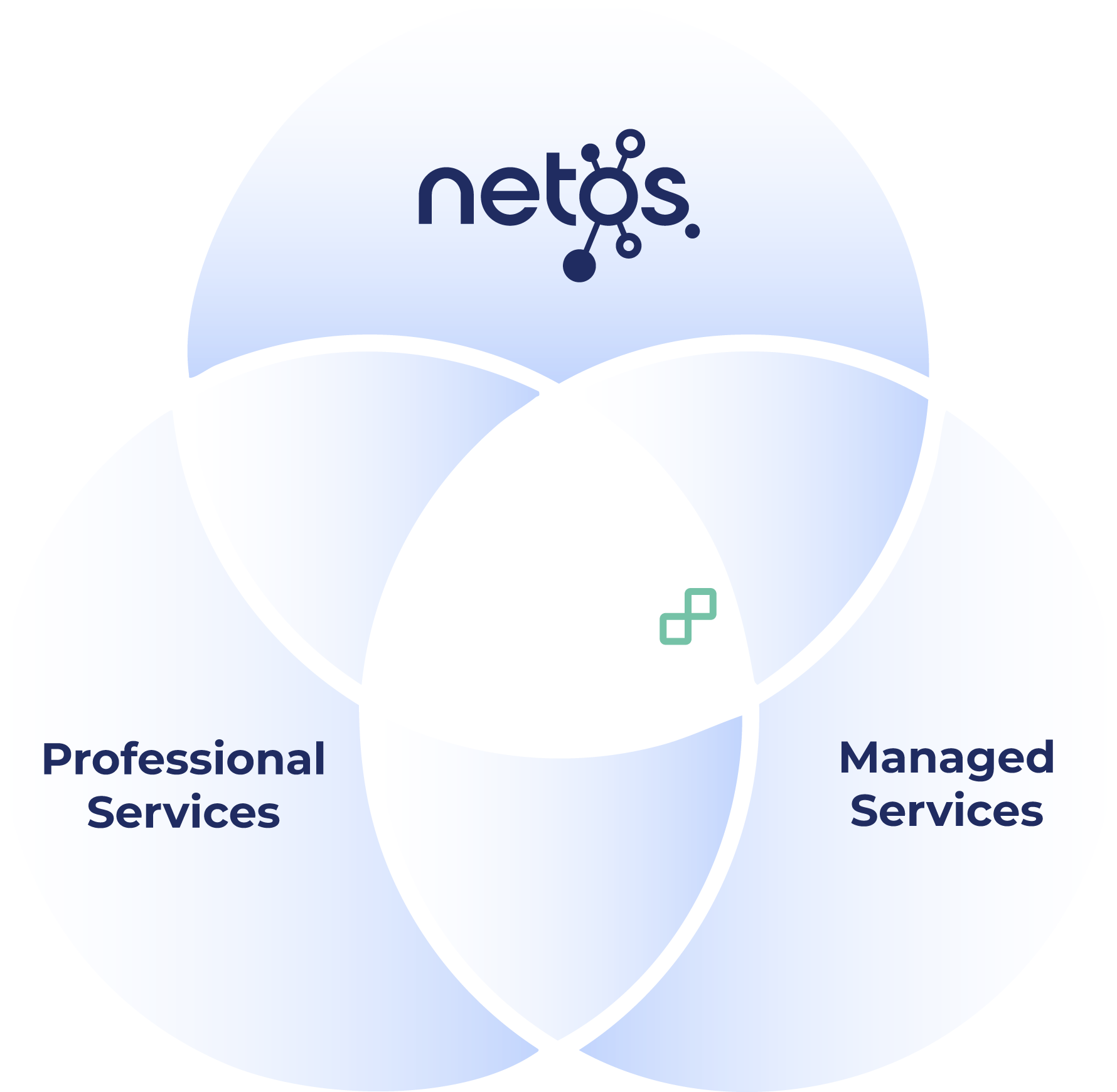 Nebula enabling Netos partners with professional and managed services across deployment, integration, reporting, and customer delivery.