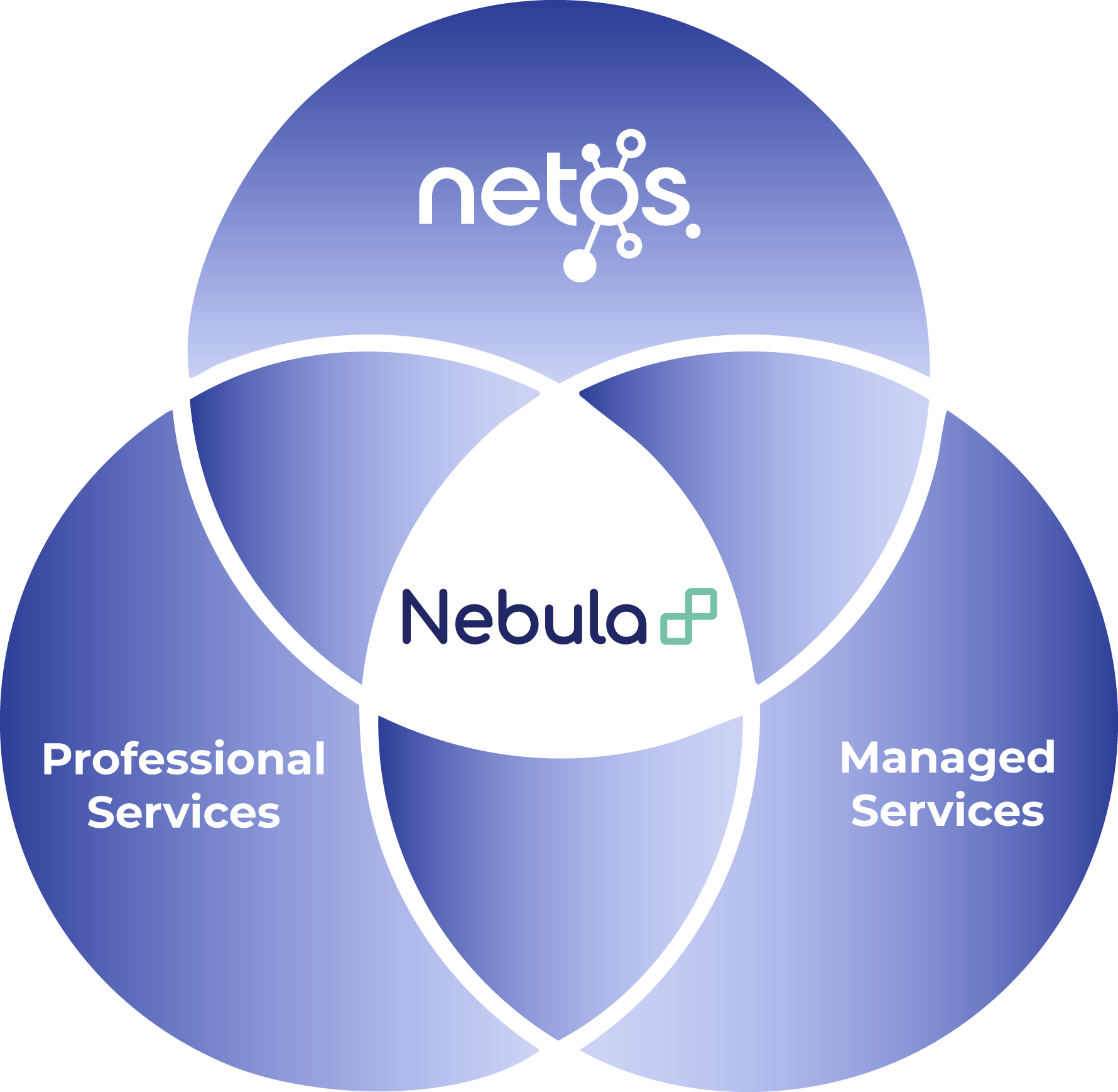 Nebula enabling Netos partners with professional and managed services across deployment, integration, reporting, and customer delivery.