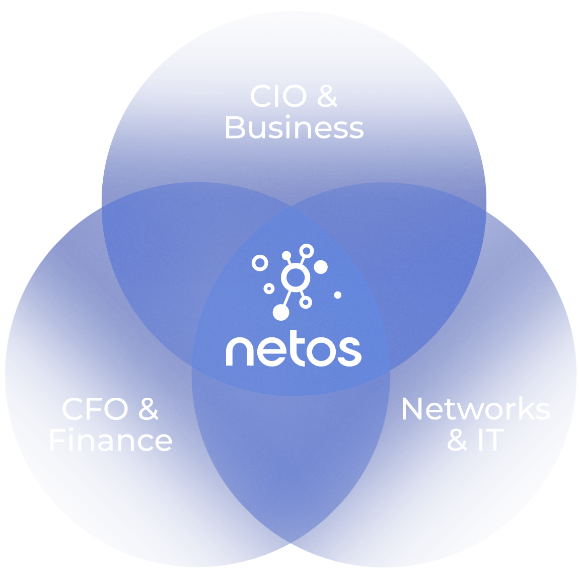 Netos unifies inventory, lifecycle, finance, and projects