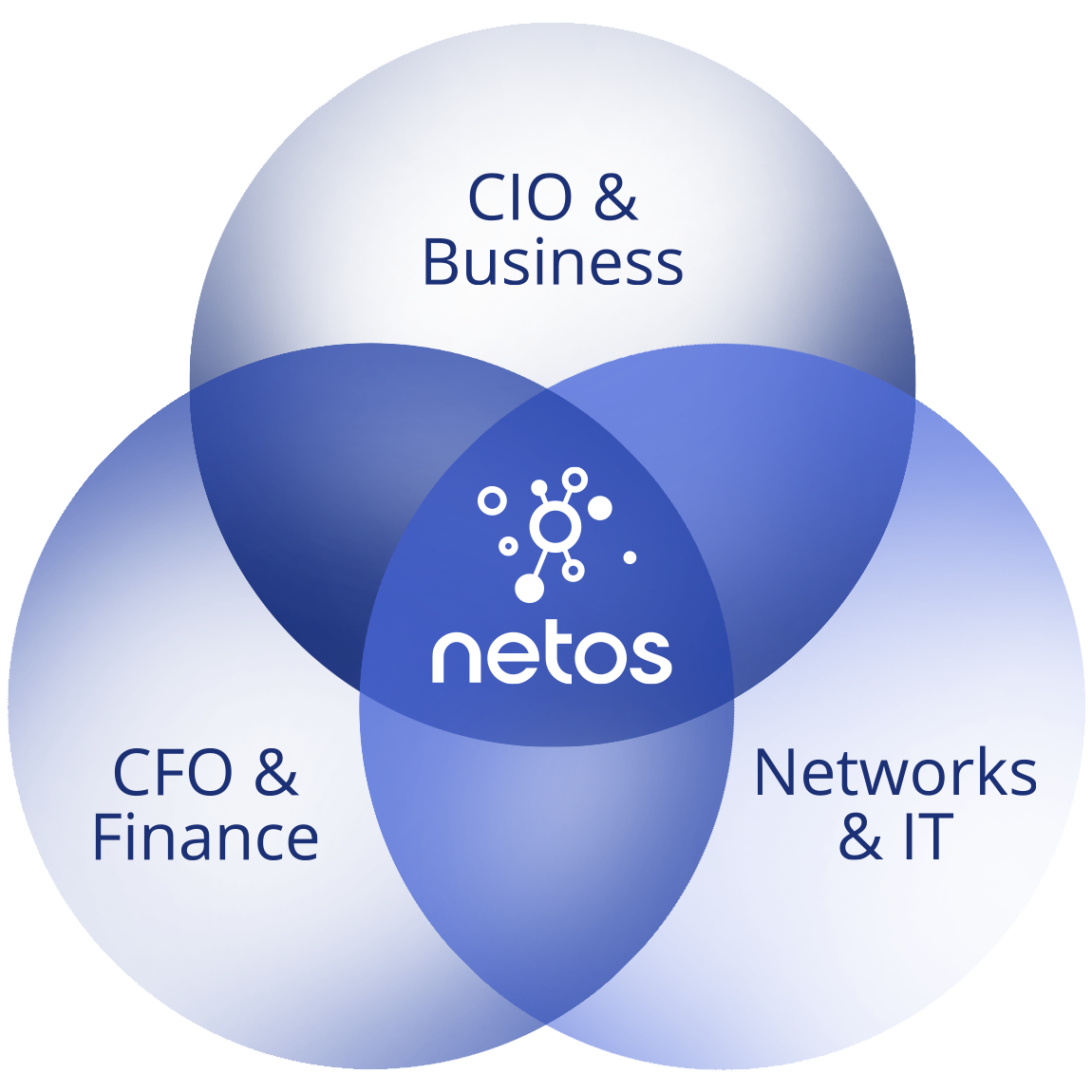 Netos unifies inventory, lifecycle, finance, and projects